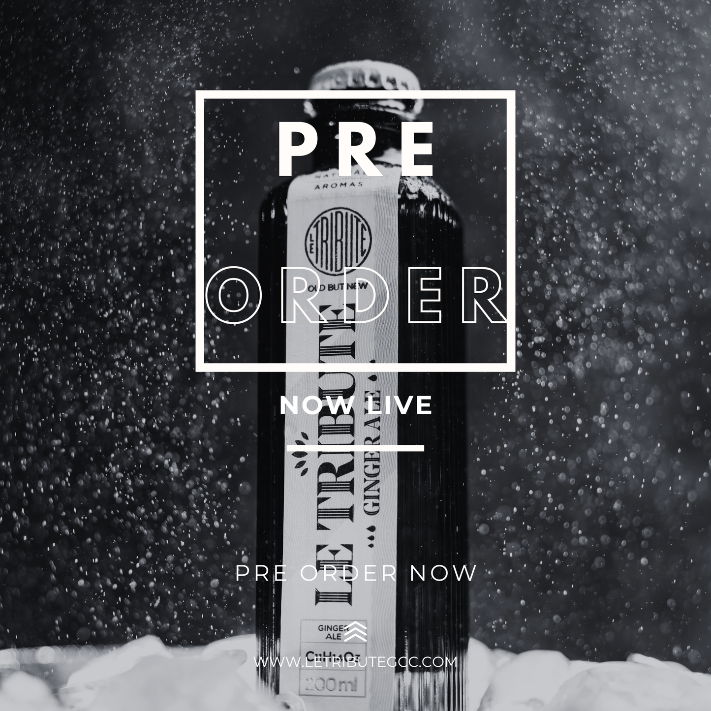 مشروب غازي جنجر إيل (PRE ORDER)