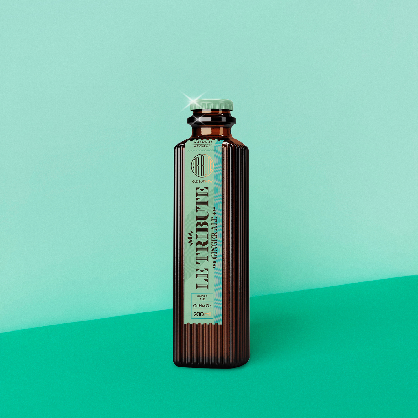 مشروب غازي جنجر إيل (PRE ORDER)